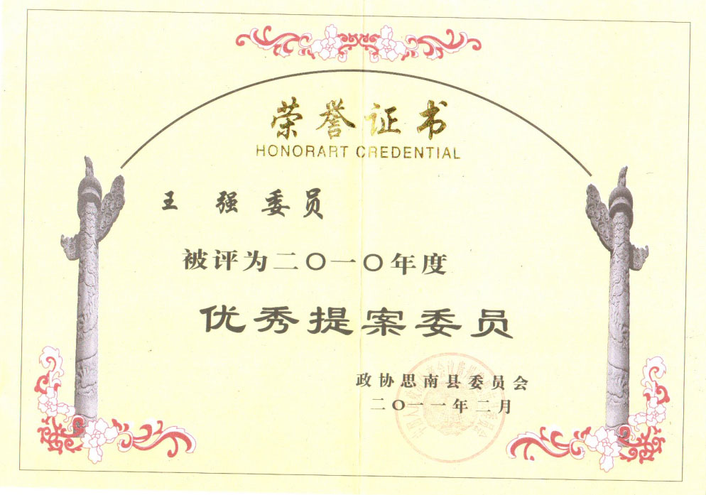 王強，2010年度優秀提案委員
